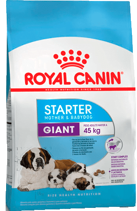 Starter Giant X 10Kg