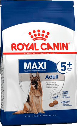 Maxi Adult 5+ X15Kg