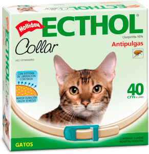 Collar Ecthol 40Cm Gato