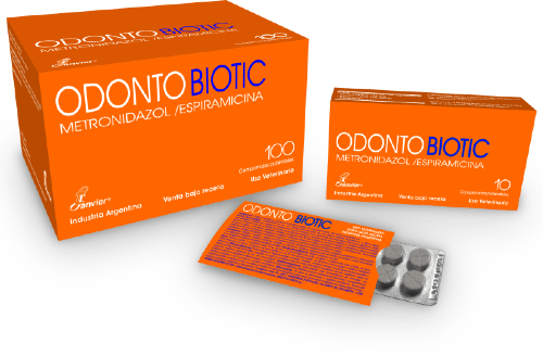 Odontobiotic Blister X 10 Comp