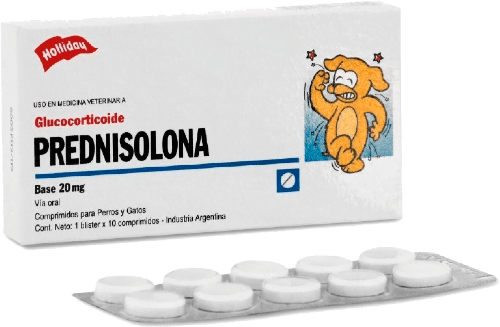 Prednisolona X 10Comp Holliday