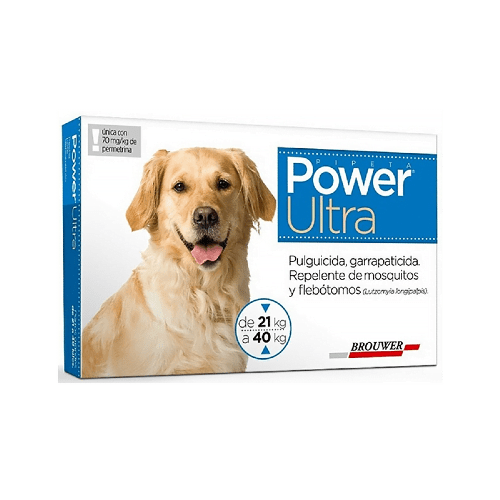 Power Perros De 20 A 40Kg