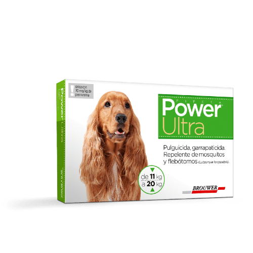 Power Perros De 10 A 20Kg