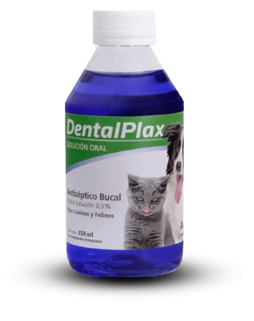Dental Plax X 250 Ml