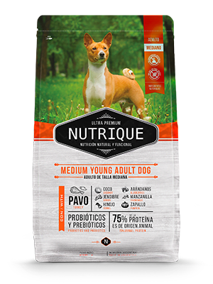Nutrique Medium Youn Ad Dog 12