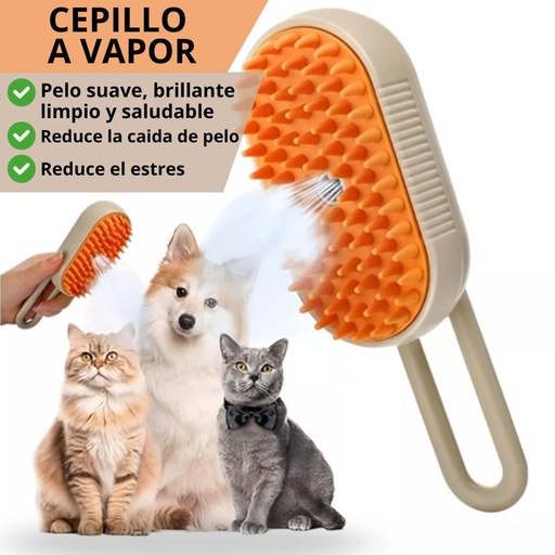 [BELL050-1] Cepillo Vapor Con Mango