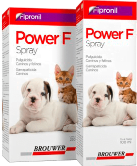 [MED250] Power F Spray X 100Ml
