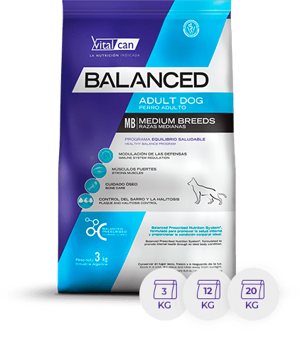 [VIT025] Bal Perro Ad R Medx 12K
