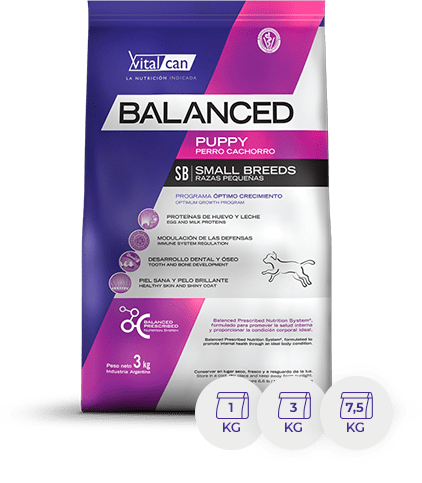 [VIT039] Bal Perro Cach Raza Peq X 3K
