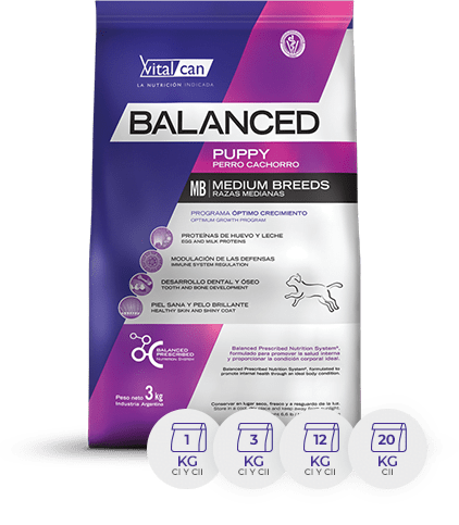 [VIT035] Bal Perro Cach Raza Med X 12K