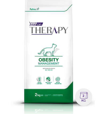 [VIT101] Therapy Feline Obesity X 2Kg