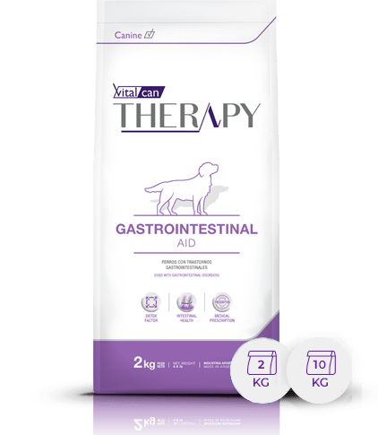 [VIT112] Therapy Canine Gastroin  X10Kg