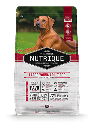 [VIT122] Nutrique Large Young Ad Dogx15