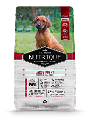[VIT131] Nutrique Large Puppy X 1Kg