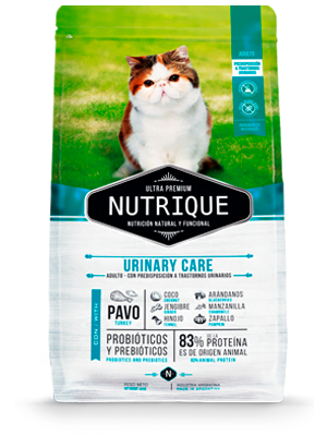 [VIT141] Nutrique Urinary Care Cat X2K