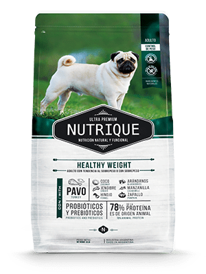 [VIT146] Nutrique Healthyweight Dog X15